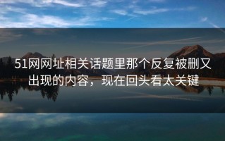 51网网址相关话题里那个反复被删又出现的内容，现在回头看太关键