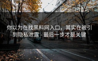 你以为在找黑料网入口，其实在被引到隐私泄露 - 最后一步才是关键
