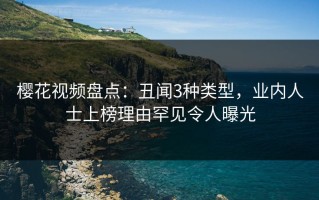 樱花视频盘点：丑闻3种类型，业内人士上榜理由罕见令人曝光