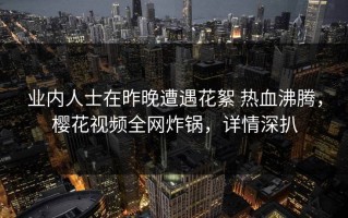 业内人士在昨晚遭遇花絮 热血沸腾，樱花视频全网炸锅，详情深扒